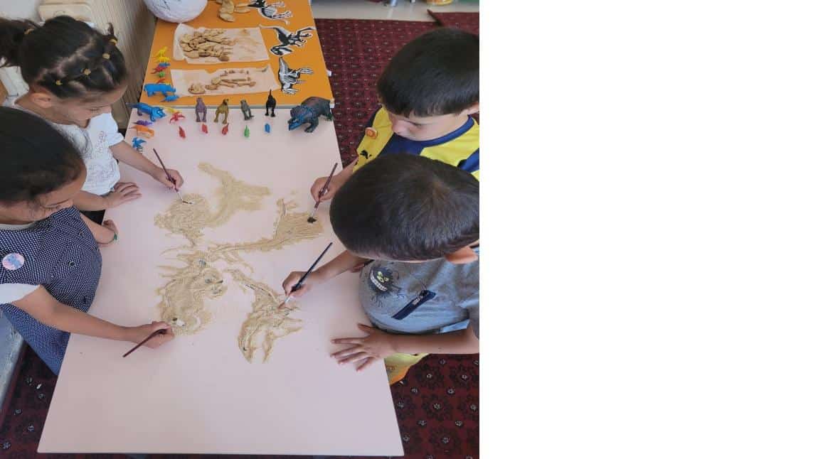FOSİLLER MÜZESİ